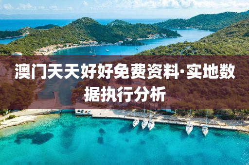 澳门天天好好免费资料·实地数据执行分析