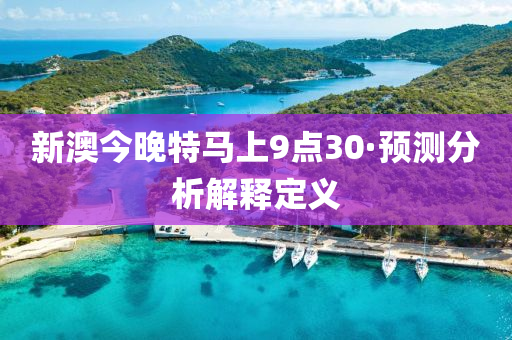 新澳今晚特马上9点30·预测分析解释定义