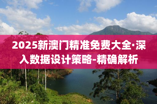 2025新澳门精准免费大全·深入数据设计策略-精确解析