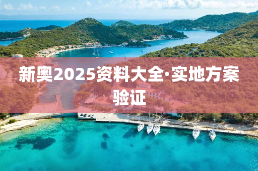 新奥2025资料大全·实地方案验证