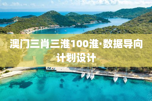 澳门三肖三淮100淮·数据导向计划设计