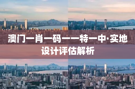 澳门一肖一码一一特一中·实地设计评估解析