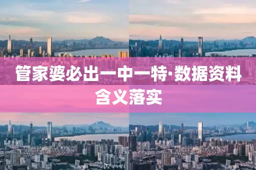管家婆必出一中一特·数据资料含义落实