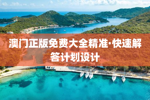 澳门正版免费大全精准·快速解答计划设计