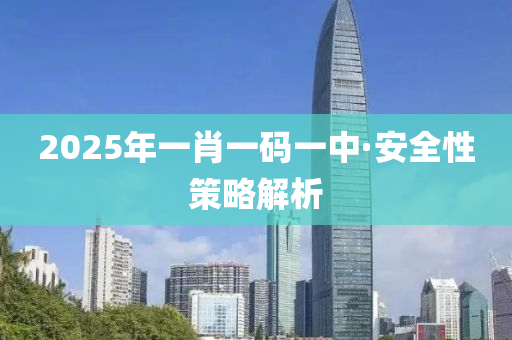 2025年一肖一码一中·安全性策略解析