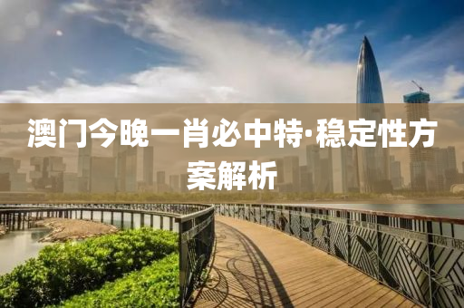 澳门今晚一肖必中特·稳定性方案解析