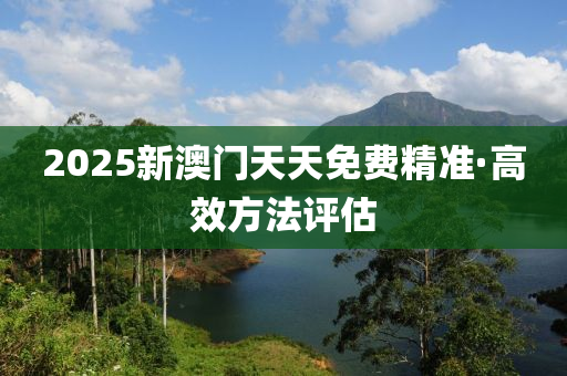 2025新澳门天天免费精准·高效方法评估