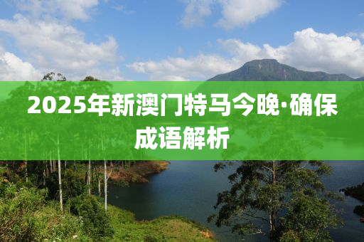 2025年新澳门特马今晚·确保成语解析