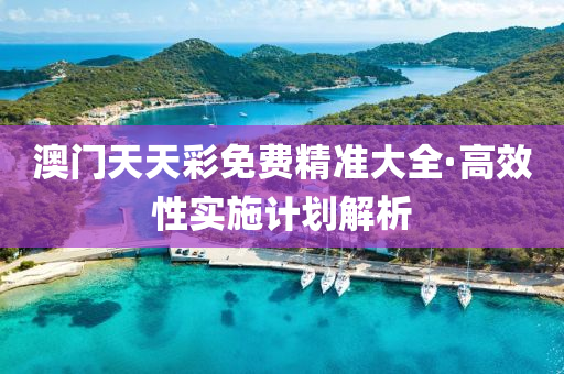 澳门天天彩免费精准大全·高效性实施计划解析