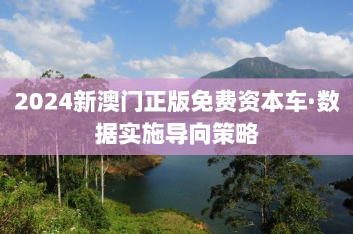 2024新澳门正版免费资本车·数据实施导向策略