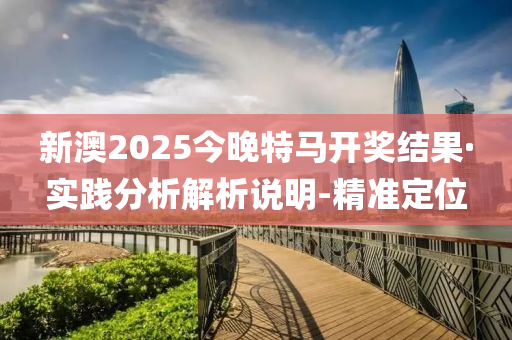 新澳2025今晚特马开奖结果·实践分析解析说明-精准定位