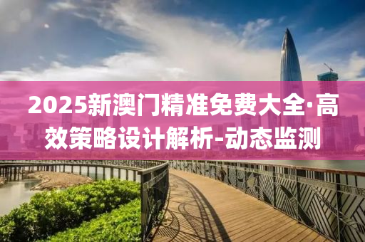 2025新澳门精准免费大全·高效策略设计解析-动态监测