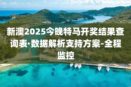 新澳2025今晚特马开奖结果查询表·数据解析支持方案-全程监控