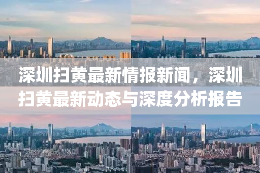深圳扫黄最新情报新闻，深圳扫黄最新动态与深度分析报告