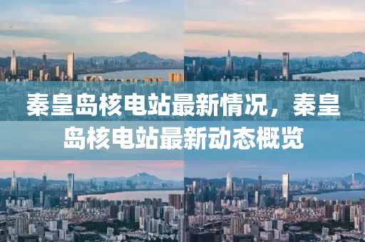 秦皇岛核电站最新情况，秦皇岛核电站最新动态概览