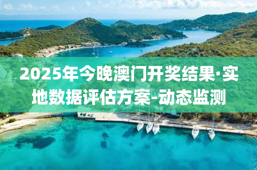 2025年今晚澳门开奖结果·实地数据评估方案-动态监测