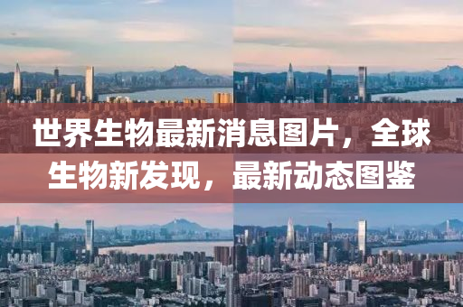 世界生物最新消息图片，全球生物新发现，最新动态图鉴