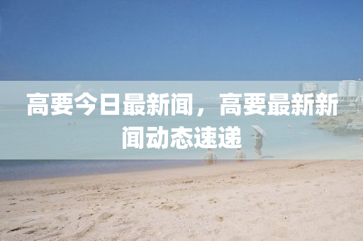 高要今日最新闻，高要最新新闻动态速递