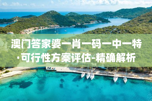 澳门答家婆一肖一码一中一特·可行性方案评估-精确解析