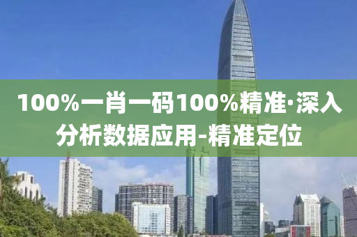 100%一肖一码100%精准·深入分析数据应用-精准定位