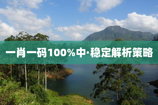 一肖一码100%中·稳定解析策略