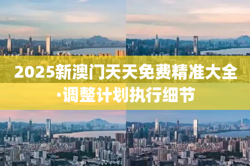 2025新澳门天天免费精准大全·调整计划执行细节
