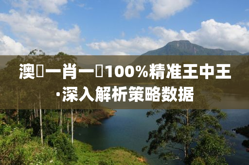 澳門一肖一碼100%精准王中王·深入解析策略数据