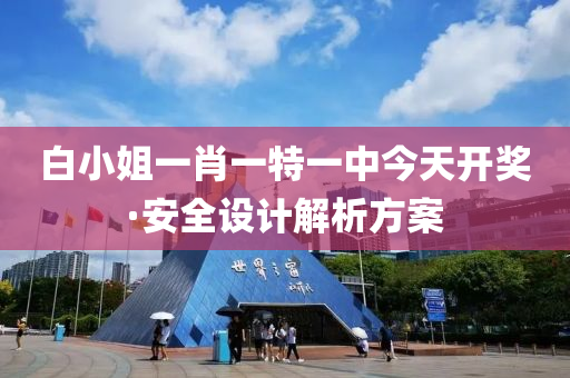 白小姐一肖一特一中今天开奖·安全设计解析方案