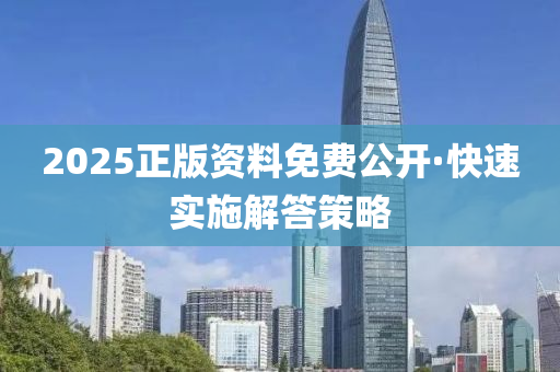 2025正版资料免费公开·快速实施解答策略