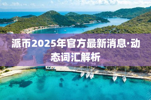 派币2025年官方最新消息·动态词汇解析