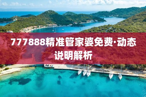 777888精准管家婆免费·动态说明解析