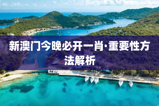 新澳门今晚必开一肖·重要性方法解析