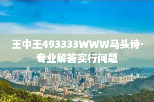 王中王493333WWW马头诗·专业解答实行问题