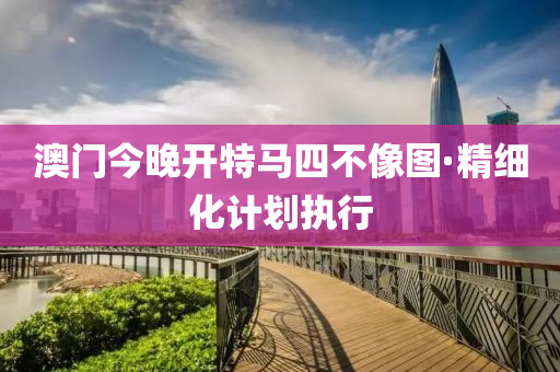 澳门今晚开特马四不像图·精细化计划执行