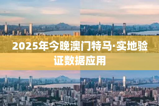 2025年今晚澳门特马·实地验证数据应用