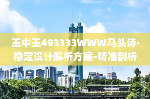 王中王493333WWW马头诗·稳定设计解析方案-精准剖析
