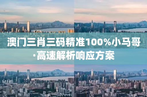 澳门三肖三码精准100%小马哥·高速解析响应方案