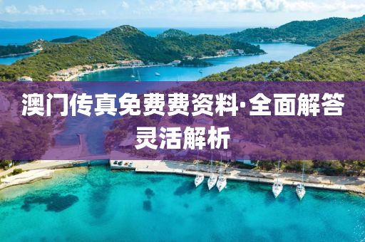 澳门传真免费费资料·全面解答灵活解析
