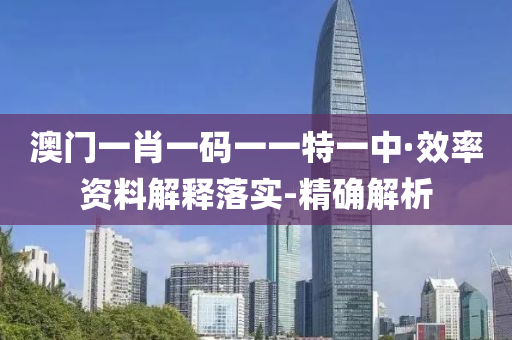 澳门一肖一码一一特一中·效率资料解释落实-精确解析