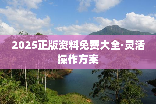 2025正版资料免费大全·灵活操作方案