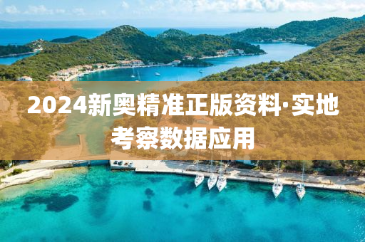 2024新奥精准正版资料·实地考察数据应用