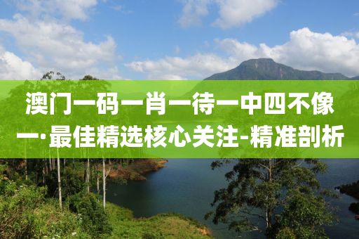澳门一码一肖一待一中四不像一·最佳精选核心关注-精准剖析