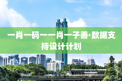 一肖一码一一肖一子善·数据支持设计计划