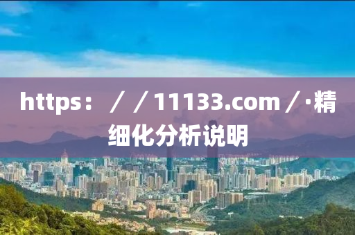 https：／／11133.com／·精细化分析说明
