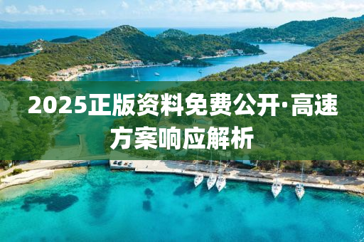 2025正版资料免费公开·高速方案响应解析