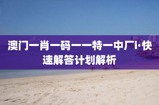 2025年2月12日 第91页