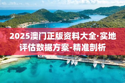 2025澳门正版资料大全·实地评估数据方案-精准剖析