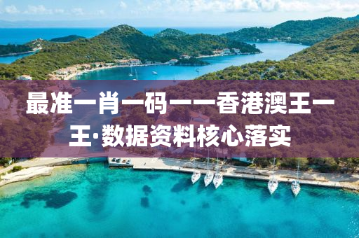 最准一肖一码一一香港澳王一王·数据资料核心落实