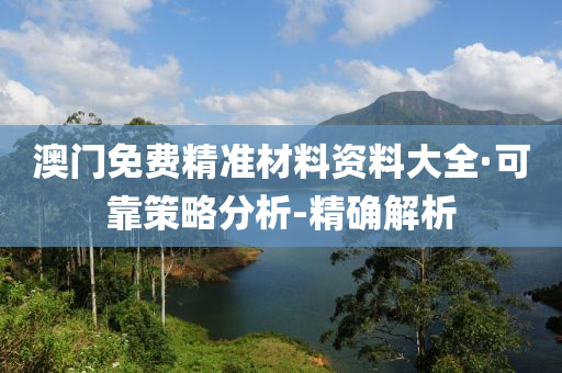 澳门免费精准材料资料大全·可靠策略分析-精确解析