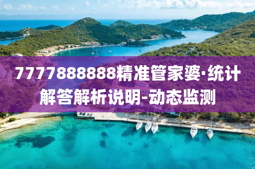 7777888888精准管家婆·统计解答解析说明-动态监测